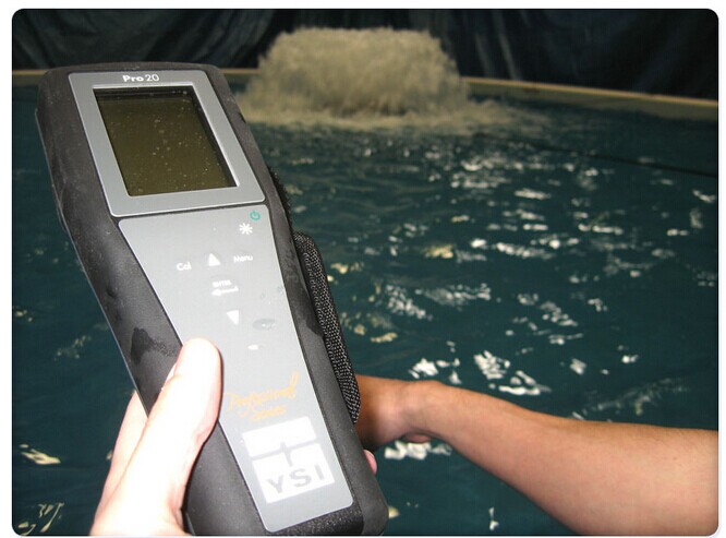 美国YSIPro20溶解氧测量仪